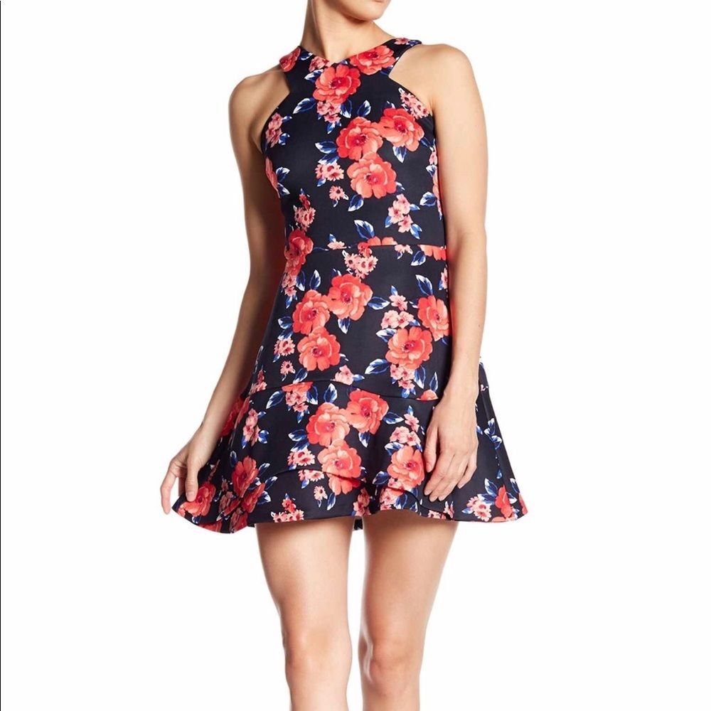 Love...Ady Sleeveless Floral Flounce Dress Blue